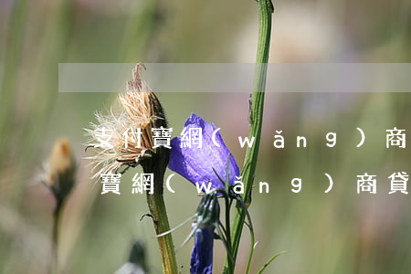 支付寶網(wǎng)商貸逾期1萬元(支付寶網(wǎng)商貸逾期利息那么高,合法嗎)