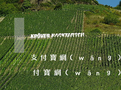 支付寶網(wǎng)商貸逾期4天6-支付寶網(wǎng)商貸逾期5天