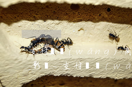 支付寶網(wǎng)商貸逾期4天有沒有影響-支付寶網(wǎng)商貸逾期4天有沒有影響征信