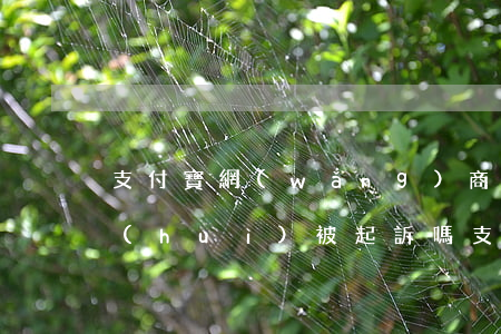 支付寶網(wǎng)商貸逾期5000會(huì)被起訴嗎(支付寶花唄網(wǎng)商貸逾期多久會(huì)被起訴)