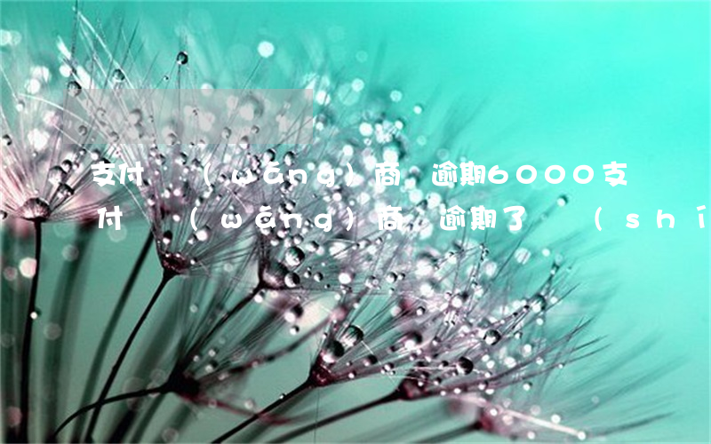 支付寶網(wǎng)商貸逾期6000 支付寶網(wǎng)商貸逾期了暫時(shí)還不上怎么辦