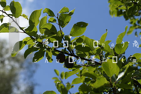 支付寶網(wǎng)商貸逾期71天說(shuō)要上門(mén)-支付寶網(wǎng)商貸逾期71天說(shuō)要上門(mén)是真的嗎