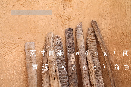 支付寶網(wǎng)商貸逾期一天了(支付寶網(wǎng)商貸逾期一天,會影響自己的征信嗎)