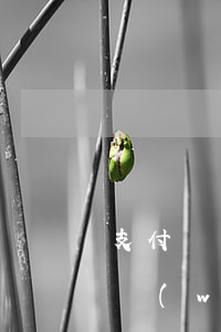 支付寶網(wǎng)商貸逾期一天(支付寶網(wǎng)商貸逾期一天會(huì)不會(huì)影響征信)