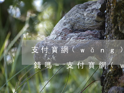 支付寶網(wǎng)商貸逾期一天會亂扣錢嗎-支付寶網(wǎng)商貸逾期一天會亂扣錢嗎怎么辦