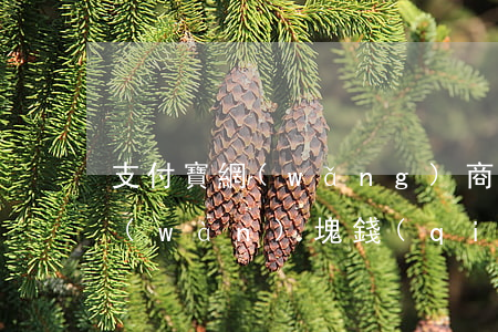 支付寶網(wǎng)商貸逾期一年多一萬(wàn)塊錢(qián)會(huì)被起訴嗎（支付寶網(wǎng)商貸逾期18萬(wàn)會(huì)坐牢嗎）