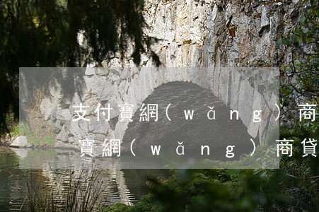 支付寶網(wǎng)商貸逾期一百天(支付寶網(wǎng)商貸逾期三個(gè)月了,被起訴后會怎樣)