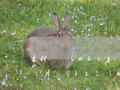 支付寶網(wǎng)商貸逾期三個(gè)月會(huì)被起訴(支付寶網(wǎng)商貸逾期3天有什么后果)