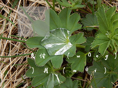 支付寶網(wǎng)商貸逾期三個(gè)月沒(méi)還(支付寶網(wǎng)商貸逾期三個(gè)月沒(méi)還)
