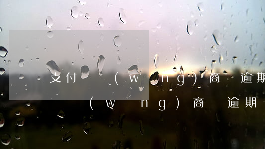 支付寶網(wǎng)商貸逾期三天了(支付寶網(wǎng)商貸逾期一天會(huì)失去信用嗎?)