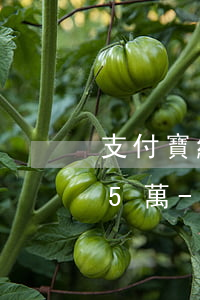 支付寶網(wǎng)商貸逾期三年了本金5萬-支付寶網(wǎng)商貸逾期三年了本金5萬怎么辦
