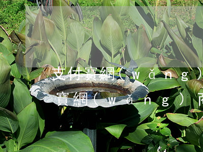 支付寶網(wǎng)商貸逾期了2天(支付寶網(wǎng)商貸逾期兩天會不影響個人征信)