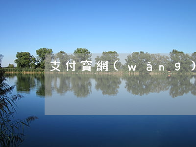 支付寶網(wǎng)商貸逾期了4萬