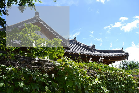 支付寶網(wǎng)商貸逾期了銀行卡需要解綁嗎-支付寶網(wǎng)商貸逾期了銀行卡需要解綁嗎安全嗎