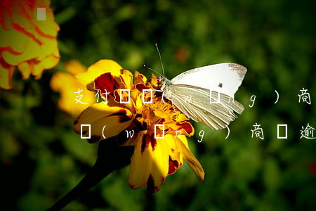 支付寶網(wǎng)商貸逾期五萬(支付寶網(wǎng)商貸逾期利息那么高,合法嗎)