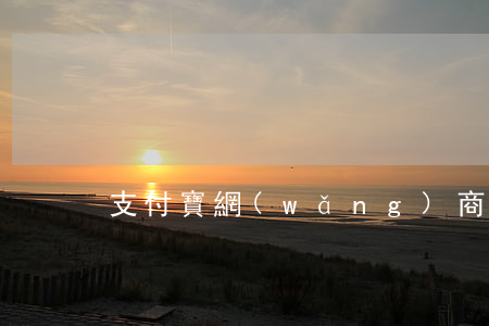 支付寶網(wǎng)商貸逾期全部還清