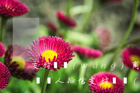 支付寶網(wǎng)商貸逾期兩天會不影響個人征信（支付寶網(wǎng)商貸逾期會影響征信嗎）