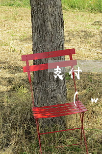 支付寶網(wǎng)商貸逾期分期(支付寶網(wǎng)商貸逾期多久,才算嚴(yán)重)