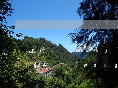 支付寶網(wǎng)商貸逾期半年（有逾期支付寶網(wǎng)商貸）
