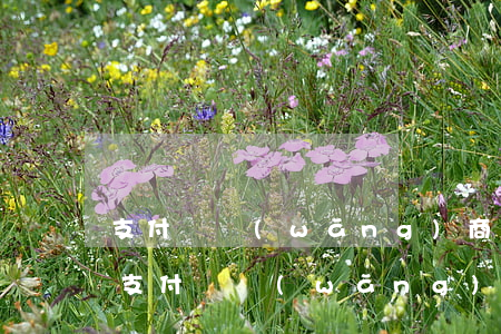 支付寶網(wǎng)商貸逾期后會上門嘛(支付寶網(wǎng)商貸逾期不接電話會上門嗎)