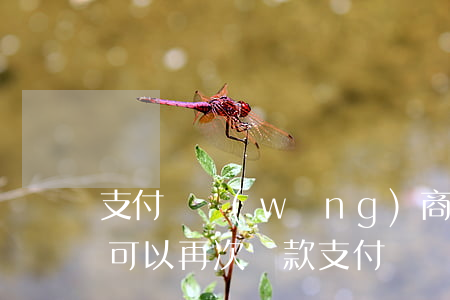 支付寶網(wǎng)商貸逾期后還清多久可以再次貸款（支付寶網(wǎng)商貸逾期還清多久才能用）
