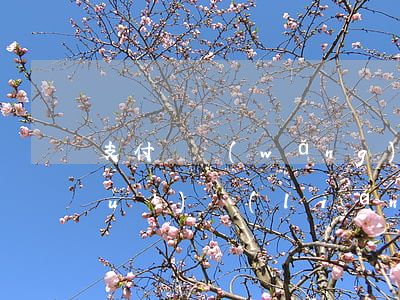 支付寶網(wǎng)商貸逾期多久會(huì)聯(lián)系家人-支付寶的網(wǎng)商貸逾期幾天上征信