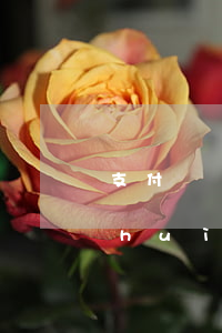 支付寶網(wǎng)商貸逾期多少錢會(huì)被起訴-支付寶網(wǎng)商貸逾期多少錢會(huì)被起訴或者上門調(diào)查