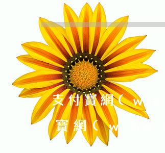 支付寶網(wǎng)商貸逾期幾分鐘(支付寶網(wǎng)商貸逾期幾天怎么辦)