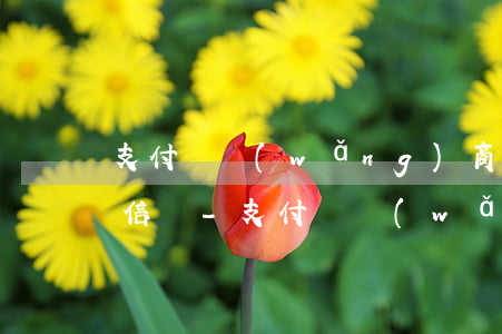 支付寶網(wǎng)商貸逾期幾天會上征信嗎-支付寶網(wǎng)商貸逾期幾天會上征信嗎?