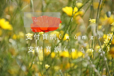 支付寶網(wǎng)商貸逾期影響開淘寶(支付寶網(wǎng)商貸逾期幾天受影響嗎)