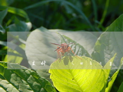 支付寶網(wǎng)商貸逾期征信