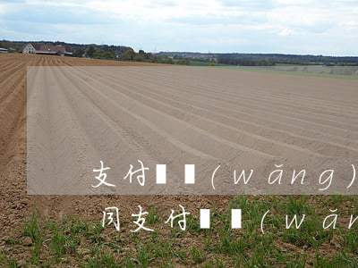 支付寶網(wǎng)商貸逾期提前終止合同(支付寶網(wǎng)商貸提前還款無違約金)