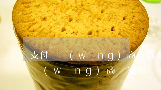支付寶網(wǎng)商貸逾期提示(支付寶網(wǎng)商貸突然關(guān)閉)