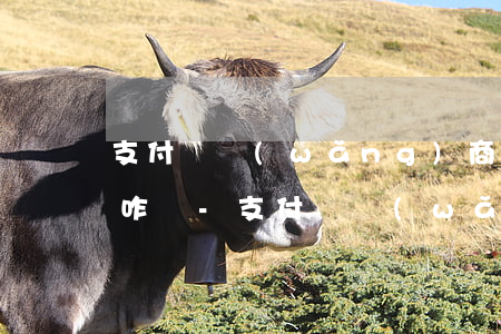 支付寶網(wǎng)商貸逾期收到律師函咋辦-支付寶網(wǎng)商貸逾期收到律師函咋辦啊