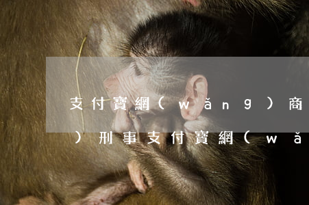 支付寶網(wǎng)商貸逾期會(huì)刑事(支付寶網(wǎng)商貸欠款逾期3個(gè)多月說上門)