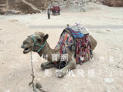支付寶網(wǎng)商貸逾期會(huì)影響坐飛機(jī)嗎(支付寶網(wǎng)商貸花唄借唄逾期會(huì)坐牢嗎)