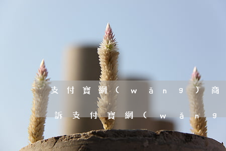 支付寶網(wǎng)商貸逾期會不會被起訴(支付寶網(wǎng)商貸欠款逾期3個多月說起訴)