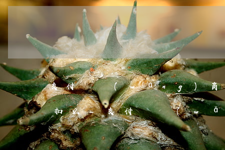 支付寶網(wǎng)商貸逾期會從別的卡扣么-支付寶網(wǎng)商貸逾期會從別的卡扣么嗎