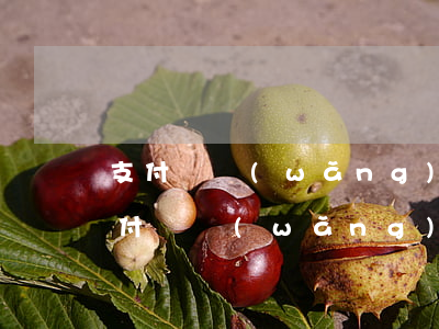 支付寶網(wǎng)商貸逾期每天還款(支付寶網(wǎng)商貸逾期每天還點(diǎn))