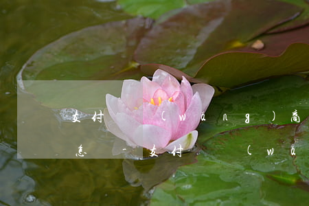 支付寶網(wǎng)商貸逾期法院起訴會怎樣-支付寶網(wǎng)商貸逾期法院起訴會怎樣呢