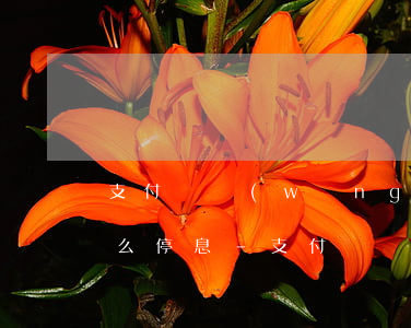 支付寶網(wǎng)商貸逾期無力償還怎么停息-支付寶網(wǎng)商貸逾期了暫時(shí)還不上怎么辦