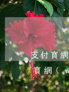 支付寶網(wǎng)商貸逾期芝麻分 支付寶網(wǎng)商貸沒通過審核