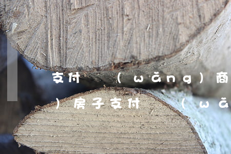 支付寶網(wǎng)商貸逾期買(mǎi)房子(支付寶網(wǎng)商貸逾期了會(huì)怎么樣嗎)
