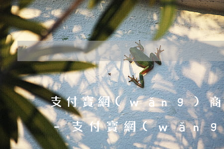 支付寶網(wǎng)商貸逾期還能開通嗎-支付寶網(wǎng)商貸可以逾期還款嗎?