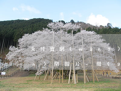 支付寶網(wǎng)商貸逾期關(guān)閉圖片-關(guān)閉支付寶網(wǎng)商貸通知