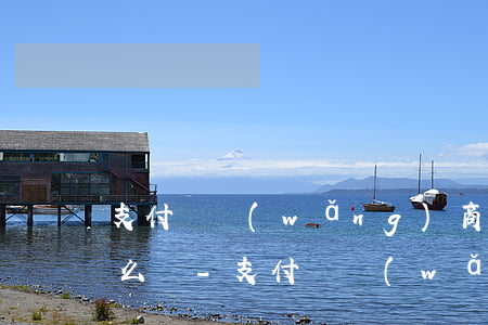支付寶網(wǎng)商貸逾期頁面圖是什么樣-支付寶網(wǎng)商貸逾期怎么修復(fù)