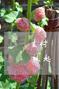 支付寶網(wǎng)商貸還不上怎么辦,會被起訴坐牢嗎（支付寶網(wǎng)商貸還不起商）