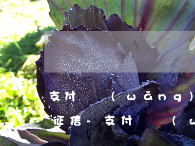 支付寶網(wǎng)商貸還款后多久更新征信-支付寶網(wǎng)商貸還款后多久更新征信記錄