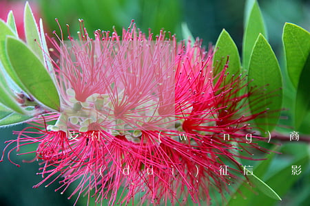 支付寶網(wǎng)商貸還款寬限期4天對(duì)征信無影響 支付寶網(wǎng)商貸延期過幾天 然后全還了