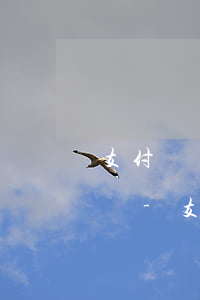 支付寶網(wǎng)商貸還款是先還利息嗎-支付寶網(wǎng)商貸還款順序設(shè)置
